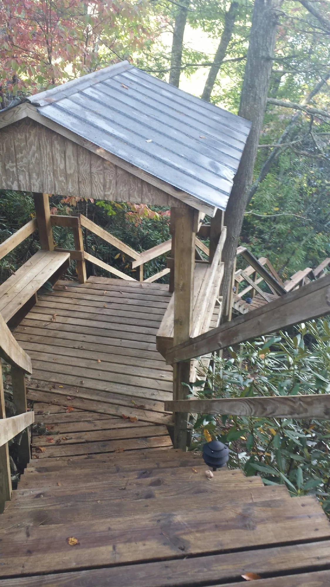 Metal roofed shelter over wooden steps on a wooded walkway — Skylight Repair & Installation work by our crew in Le Roy
