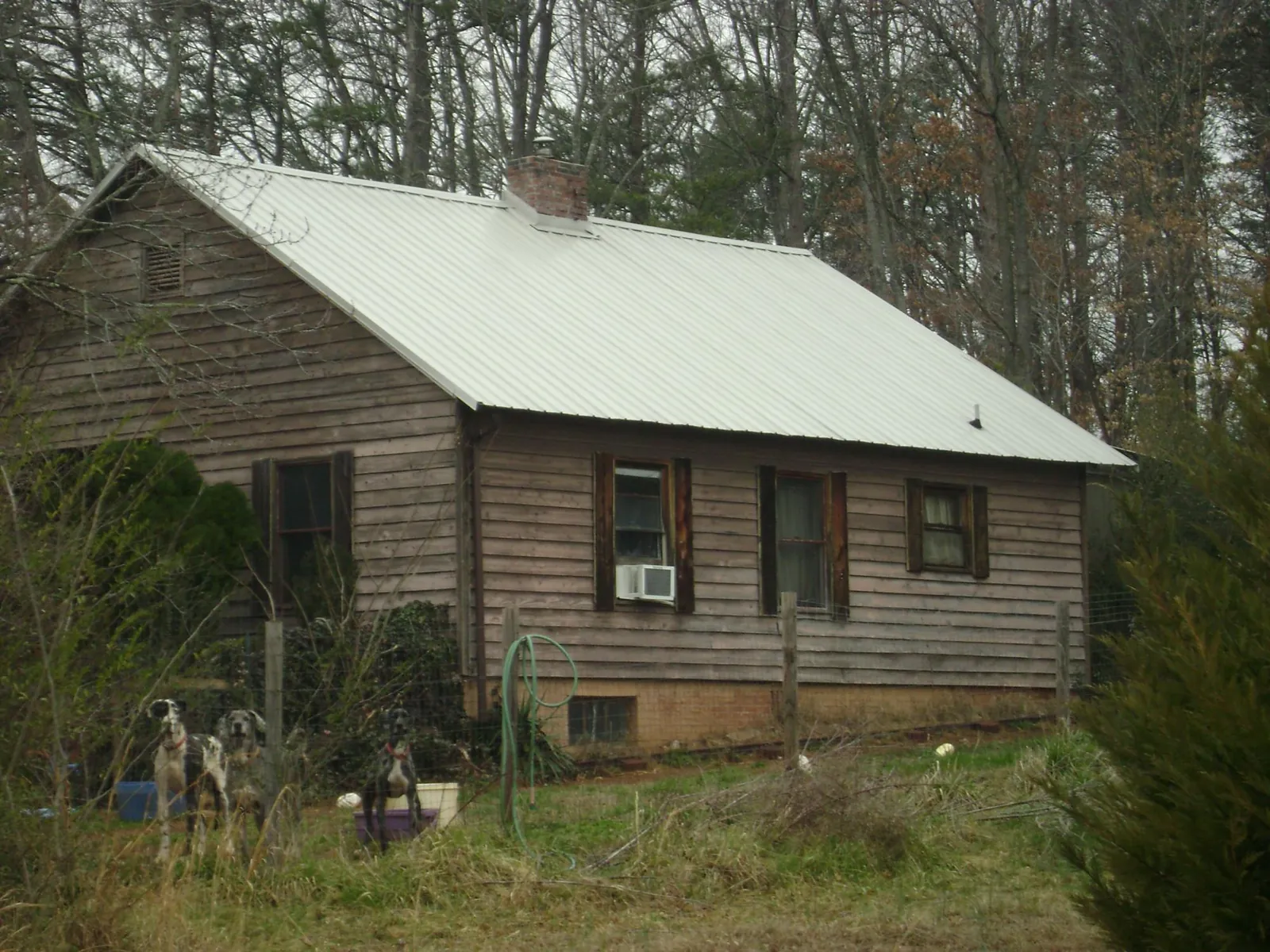 White metal roof on an old wood sided farmhouse, from a Asphalt Shingle Roof Repair job in Le Roy